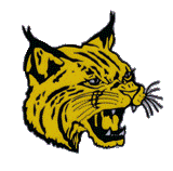 Wildcat Head